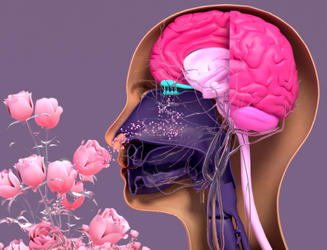 Marketing olfactif : une stratégie invisible mais redoutable