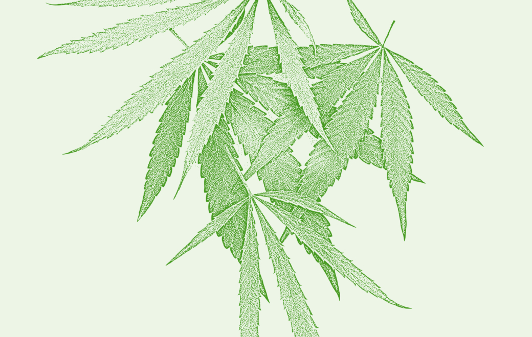 Algologie : in cannabis veritas ?