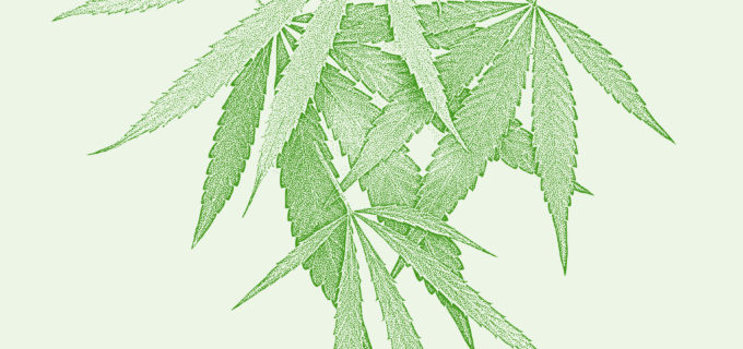 Algologie : in cannabis veritas ?