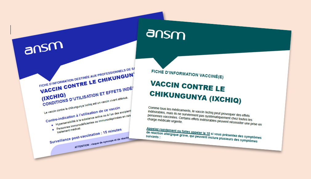Ixchiq contre le chikungunya : des fiches d’information pour le public et les professionnels de santé