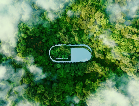 Responsabilité environnementale : les fondamentaux à connaître avant de s’engager