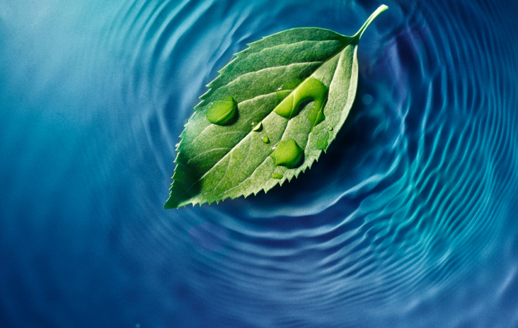 Déprescription : un levier pour réduire l’empreinte environnementale du médicament