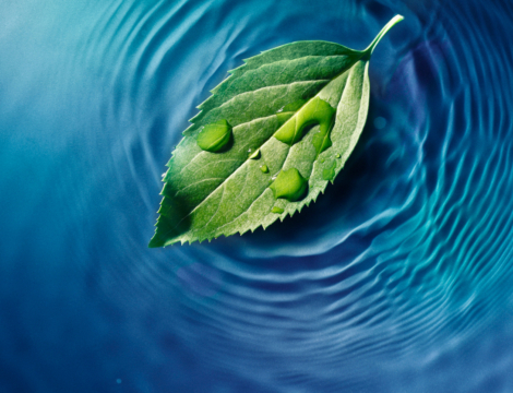 Déprescription : un levier pour réduire l’empreinte environnementale du médicament