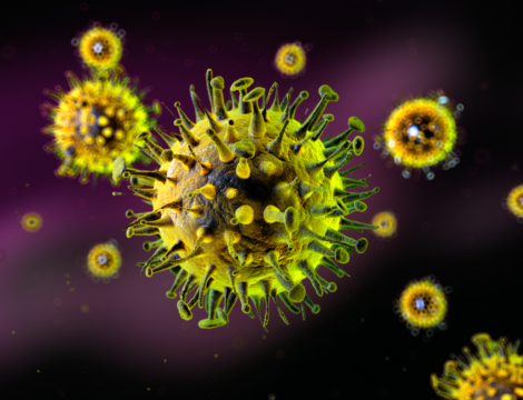 Vaccin grippe : quelle version pour la saison 2025-2026 ?