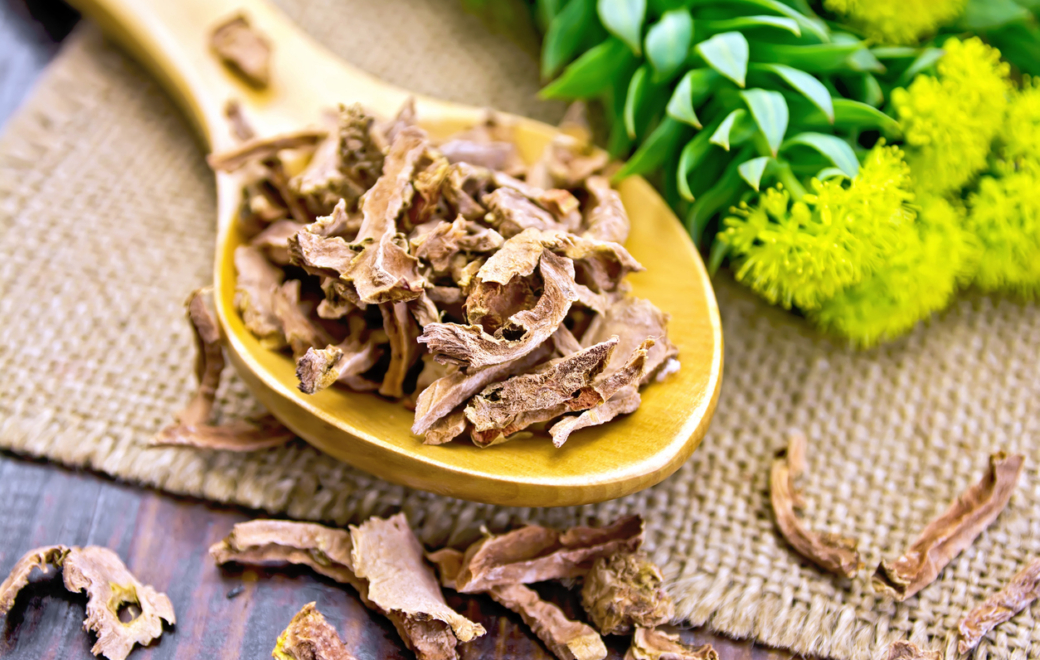 Phytothérapie : zoom sur la rhodiole