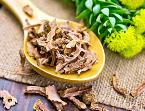 Phytothérapie : zoom sur la rhodiole