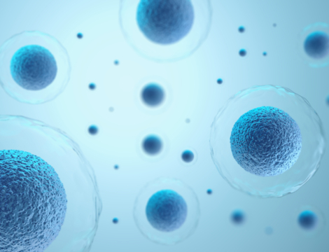 Qu’est-ce que l’immunosénescence et comment influence-t-elle la réponse à une vaccination ?