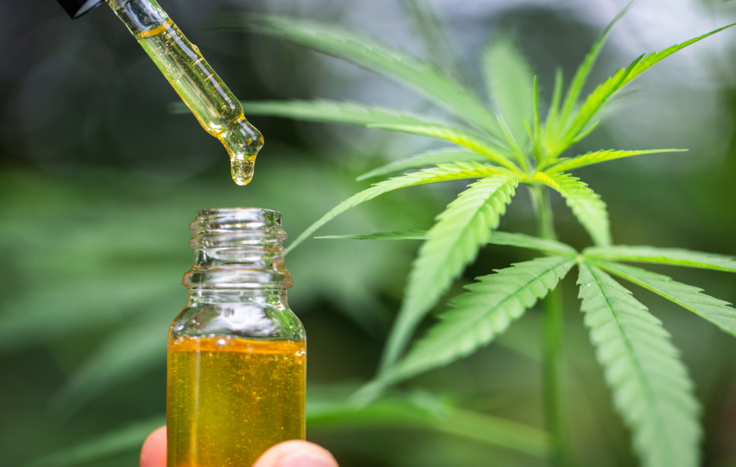 Cannabis médical : des résultats encourageants dans la sclérose en plaques