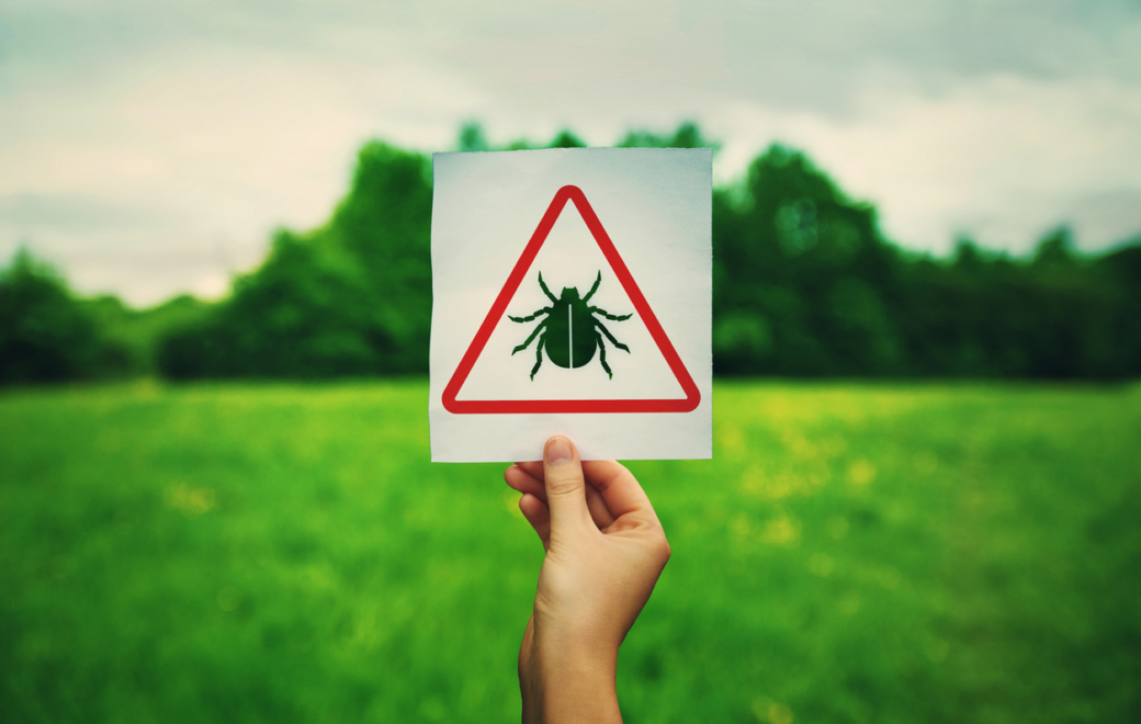 Comment se protéger des morsures de tique ?