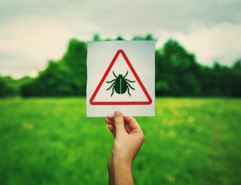 Comment se protéger des morsures de tique ?
