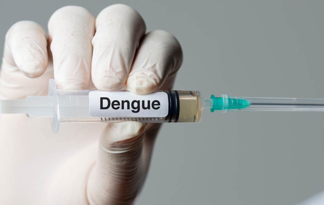 Dengue : les nouveautés du calendrier vaccinal et des recommandations aux voyageurs