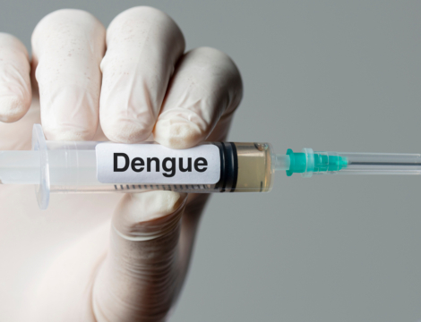 Dengue : les nouveautés du calendrier vaccinal et des recommandations aux voyageurs