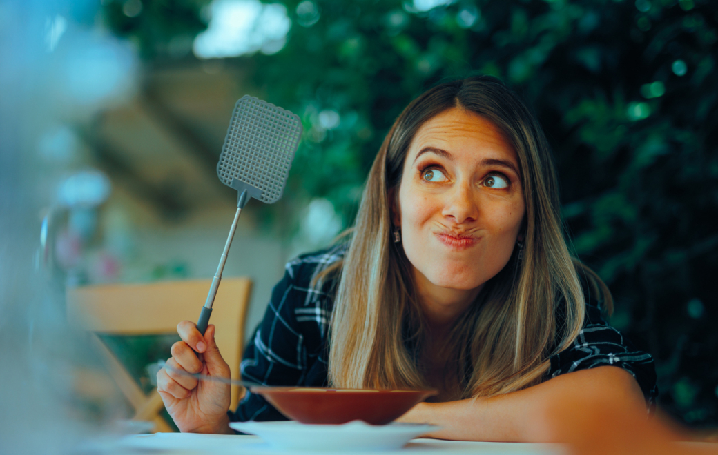 À Brive-la-Gaillarde, la drague des moustiques tourne court