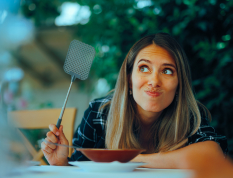 À Brive-la-Gaillarde, la drague des moustiques tourne court