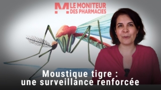 Moustique tigre : début de la campagne de surveillance renforcée