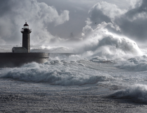 Assises du maillage : l’officine, une sentinelle en péril