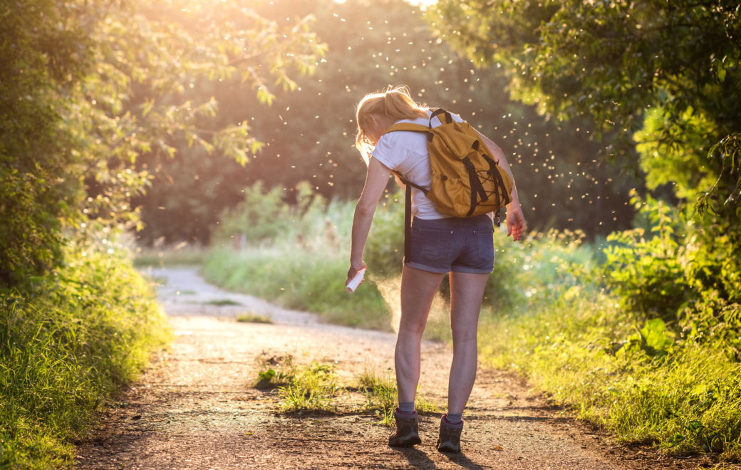 Se protéger des moustiques : les conseils au comptoir