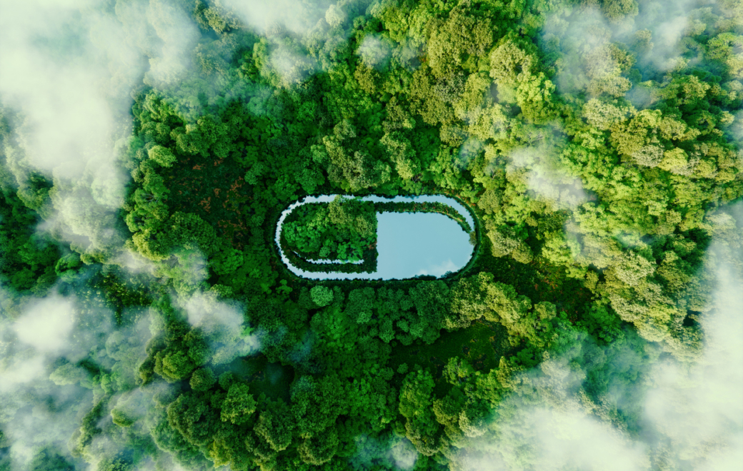 Transition écologique : voici comment l’Ordre veut verdir les pratiques