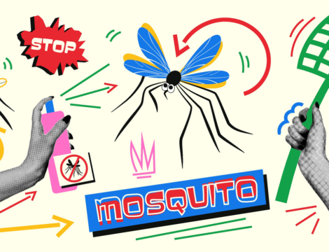 « J’ai besoin d’un antimoustique efficace » : quels conseils au comptoir ?
