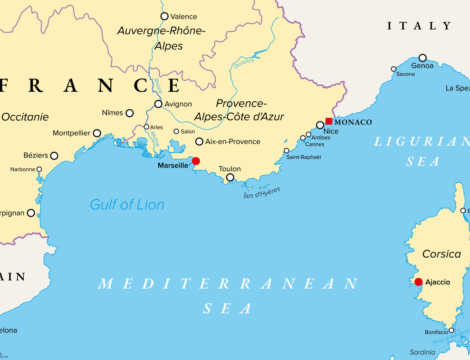 Fièvre du Nil occidental : un cas autochtone détecté en Provence-Alpes-Côte d’Azur