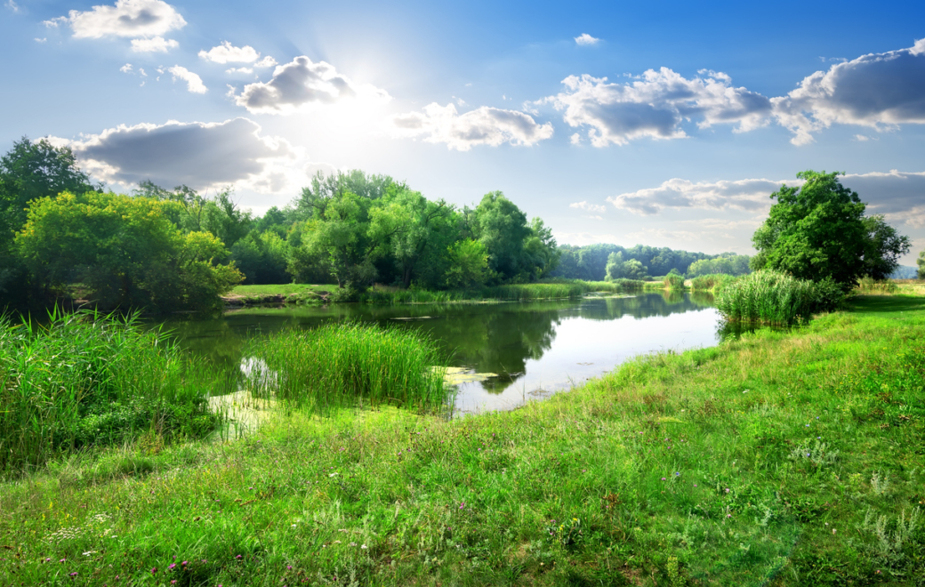 Loir-et-Cher : et si votre neveu médecin venait s’installer ?