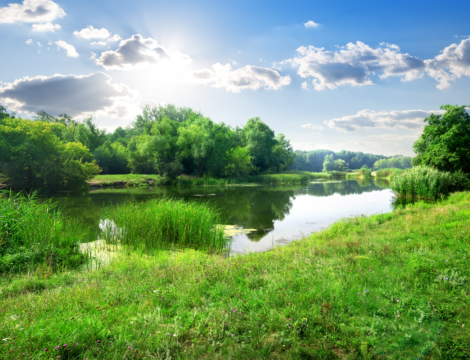 Loir-et-Cher : et si votre neveu médecin venait s’installer ?