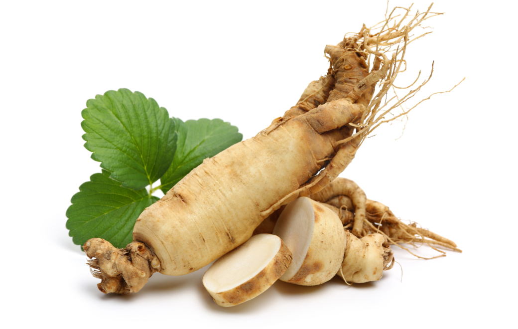 Le ginseng traite la fatigue à la racine 