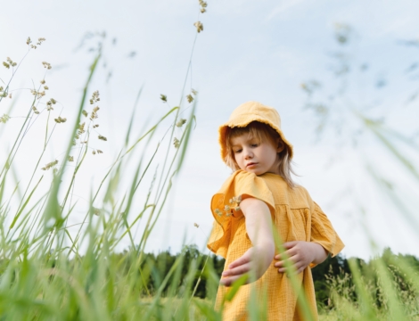 Le retrait de tiques : une nouvelle mission rémunérée ?