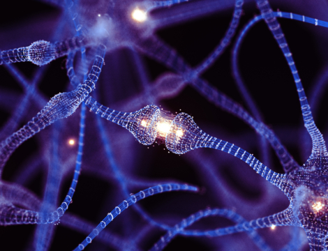 L’essentiel à retenir sur les douleurs neuropathiques