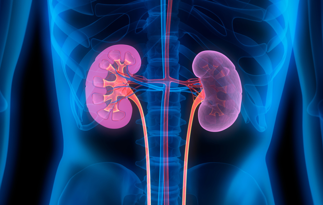 Restriction d’utilisation pour Rapamune solution buvable