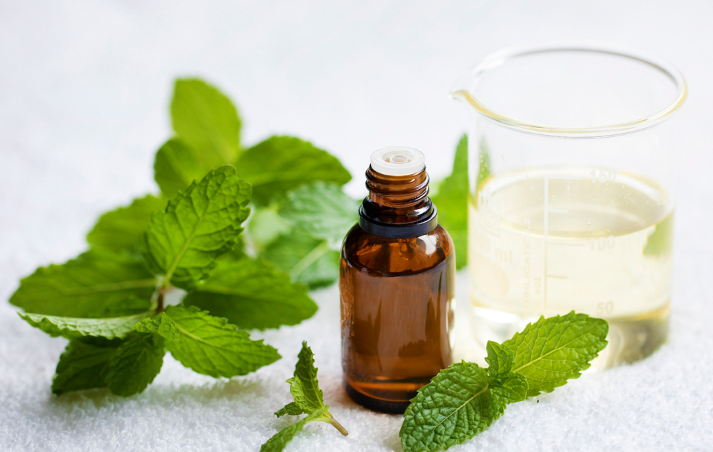 4/6 – Aromathérapie : indications, précautions et conseils dans la prise en charge de la maladie veineuse chronique