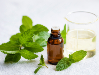 4/6 – Aromathérapie : indications, précautions et conseils dans la prise en charge de la maladie veineuse chronique