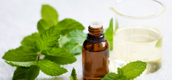 4/6 – Aromathérapie : indications, précautions et conseils dans la prise en charge de la maladie veineuse chronique