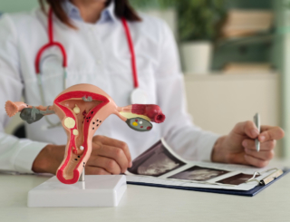 7/11 – Follitropine alfa : fiche pratique d’aide à la substitution