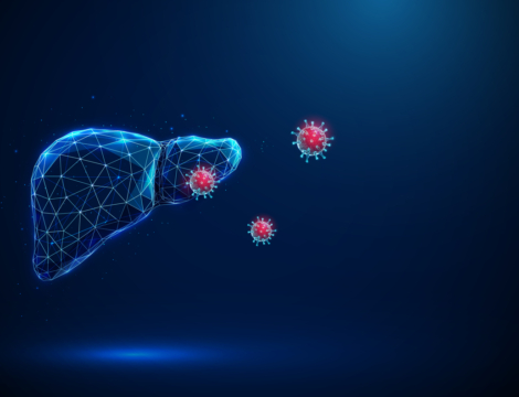 Hépatite A : pourquoi le nombre de cas augmente en France