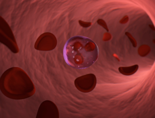 8/11 – Pegfilgrastim : fiche pratique d’aide à la substitution
