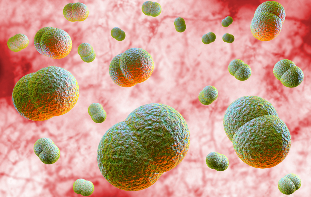 Prévention contre la méningite : quels vaccins et pour qui ?