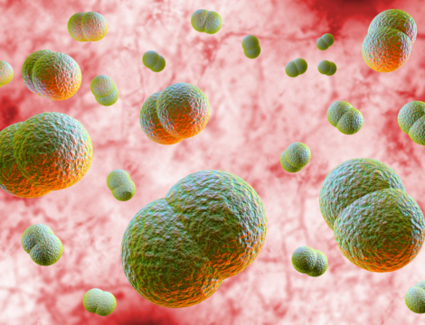 Prévention contre la méningite : quels vaccins et pour qui ?