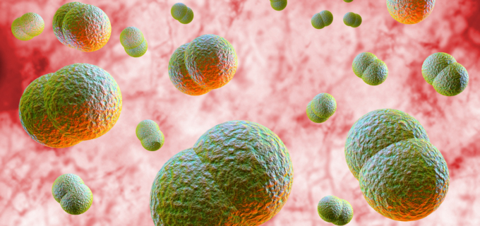 Prévention contre la méningite : quels vaccins et pour qui ?