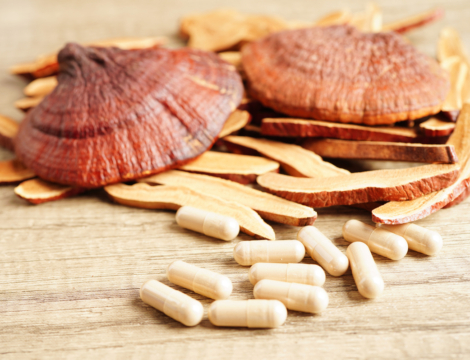 Reishi, shiitaké, maitaké : la poussée des champignons médicinaux