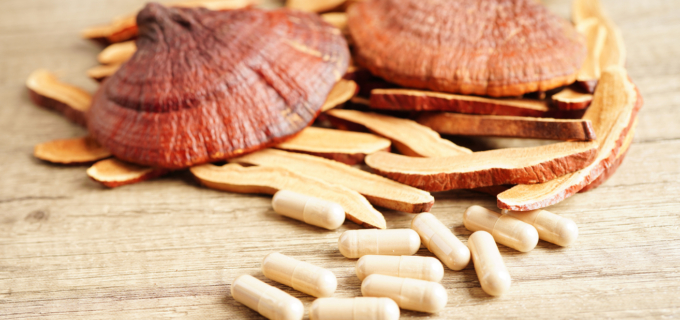 Reishi, shiitaké, maitaké : la poussée des champignons médicinaux