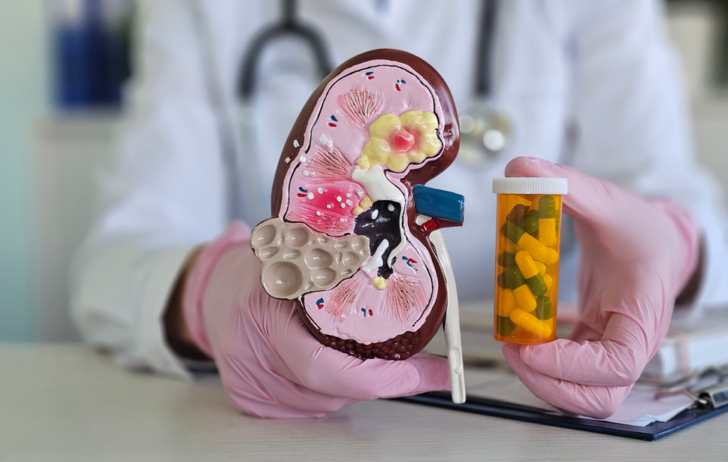 2/5 – Thérapeutique : les traitements de la maladie rénale chronique