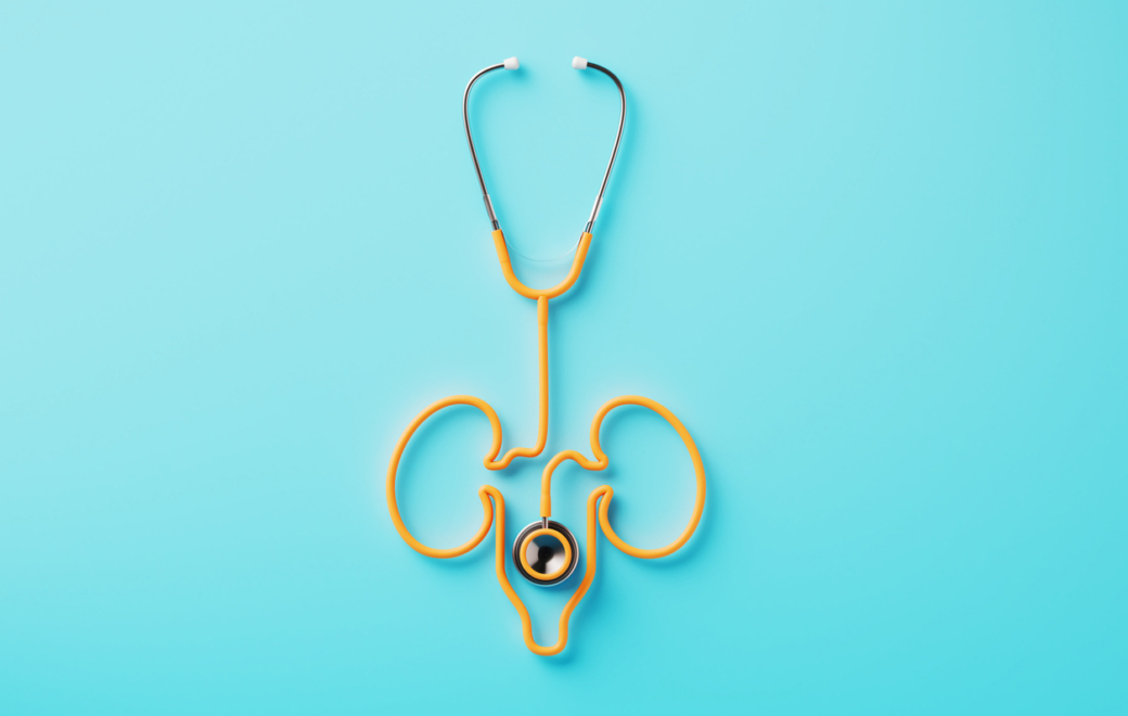 L’essentiel à retenir sur la maladie rénale chronique