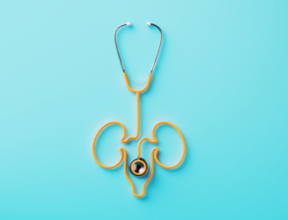 L’essentiel à retenir sur la maladie rénale chronique