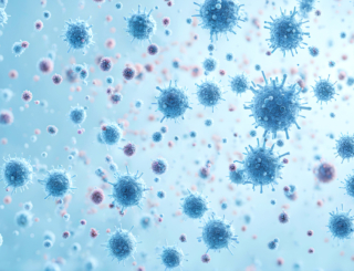 1/3 – Points clés : maladies et prise en charge