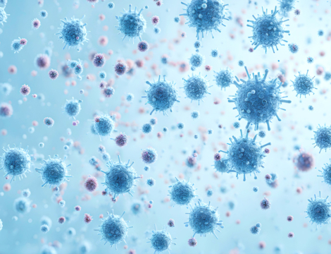 1/3 – Points clés : maladies et prise en charge