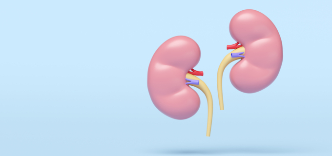 Quels sont les symptômes et les causes d’une insuffisance rénale aiguë ?