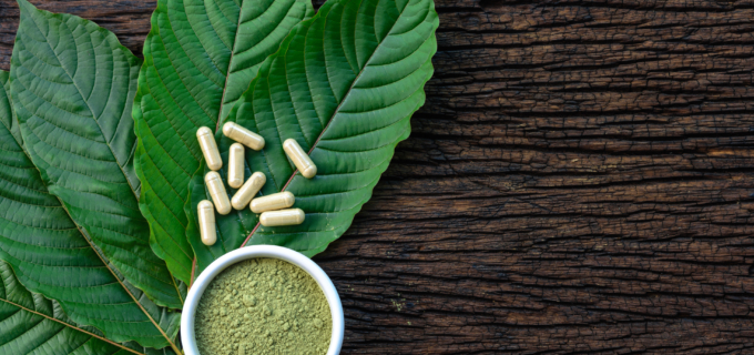 Kratom : la menace de santé publique américaine qui guette la France